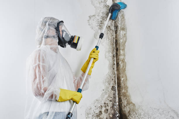 Certified Mold Removal in Lake Mohawk, NJ