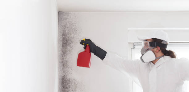 Best Crawl Space Mold Removal  in Lake Mohawk, NJ