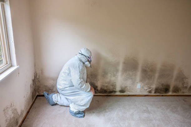 Certified Mold Removal in Lake Mohawk, NJ