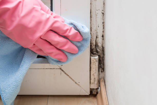 Water Damage Restoration in Lake Mohawk, NJ